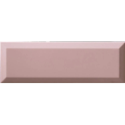 BISEL ROSA-F POŁYSK 10X30...