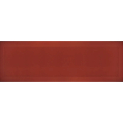 BISEL ROJO-F POŁYSK 10X30...