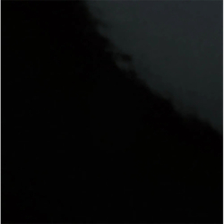 CARPIO NEGRO POŁYSK 20X20...