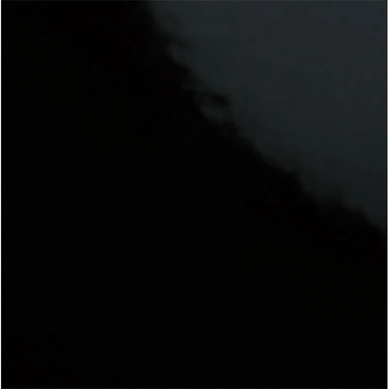 CARPIO NEGRO POŁYSK 20X20 GAT.1 (P.83975)