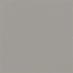 CARPIO GRIS-F POŁYSK 20X20...