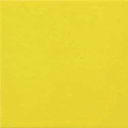 CARPIO LIMON POŁYSK 20X20...