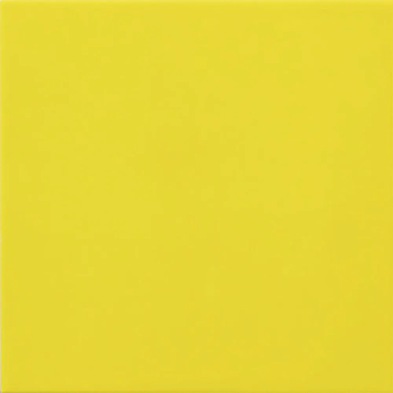 CARPIO LIMON POŁYSK 20X20 GAT.1 (P.83987)