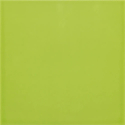 CARPIO MENTA POŁYSK 20X20...