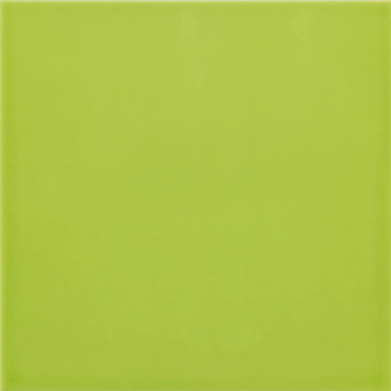 CARPIO MENTA POŁYSK 20X20 GAT.1 (P.83989)