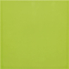 CARPIO MENTA POŁYSK 20X20 GAT.1 (P.83989)