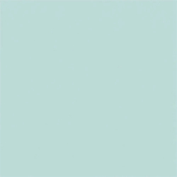 CARPIO VERDE-C POŁYSK 20X20...