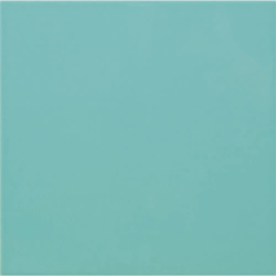 CARPIO VERDE-F POŁYSK 20X20...