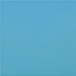 CARPIO MAR POŁYSK 20X20...