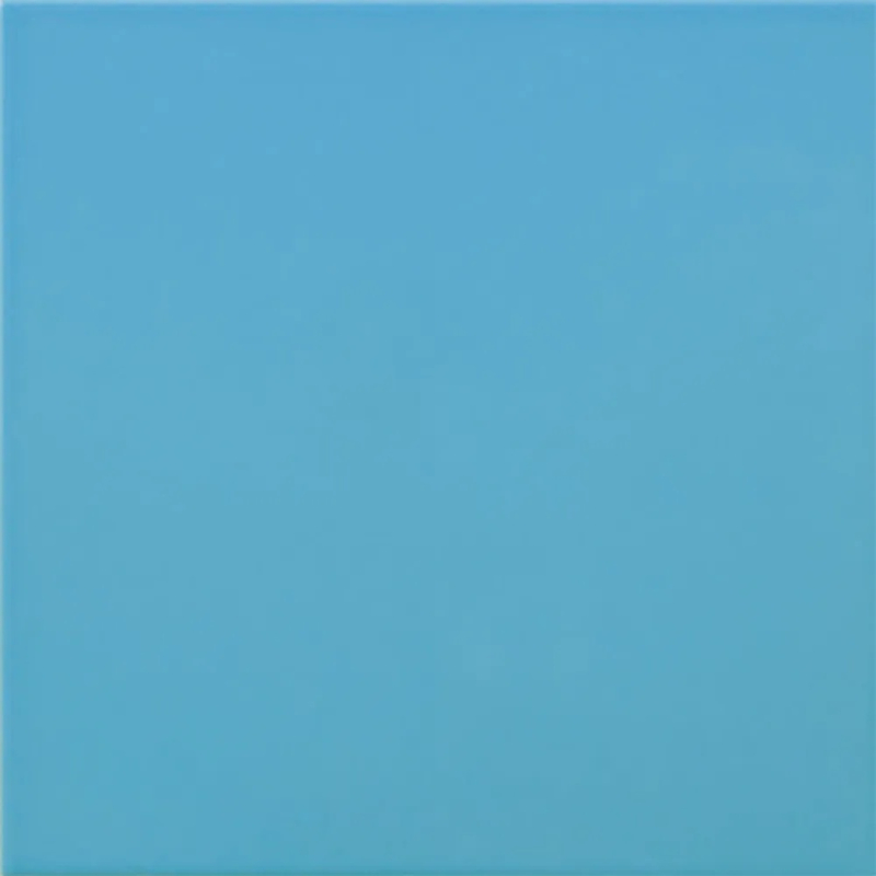 CARPIO MAR POŁYSK 20X20 GAT.1 (P.83997)