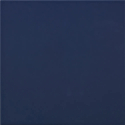 CARPIO AZUL-F POŁYSK 20X20...