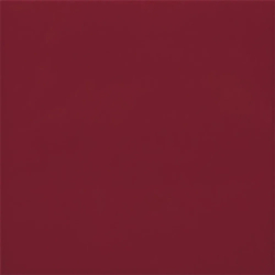 CARPIO BURDEOS POŁYSK 20X20...
