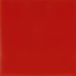 CARPIO ROJO POŁYSK 20X20...