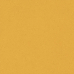 CARPIO AMARILLO POŁYSK...