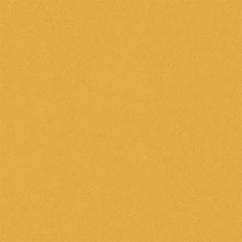 CARPIO AMARILLO POŁYSK 20X20 GAT.1 (P.83901)