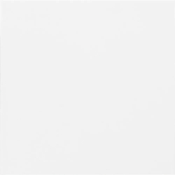 CARPIO BLANCO MAT 20X20...