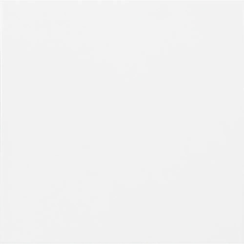 CARPIO BLANCO MAT 20X20 GAT.1 (P.83903)