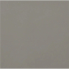 CARPIO GRIS-F MAT 20X20 GAT.1 (P.83907)