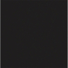 CARPIO NEGRO MAT 20X20 GAT.1 (P.83909)