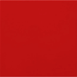 CARPIO ROJO MAT 20X20 GAT.1...