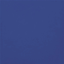 CARPIO AZUL MANISES MAT...