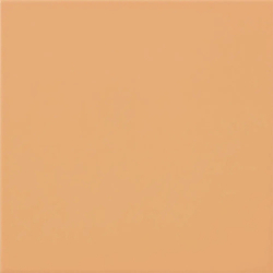 CARPIO CARAMELO MAT 20X20...