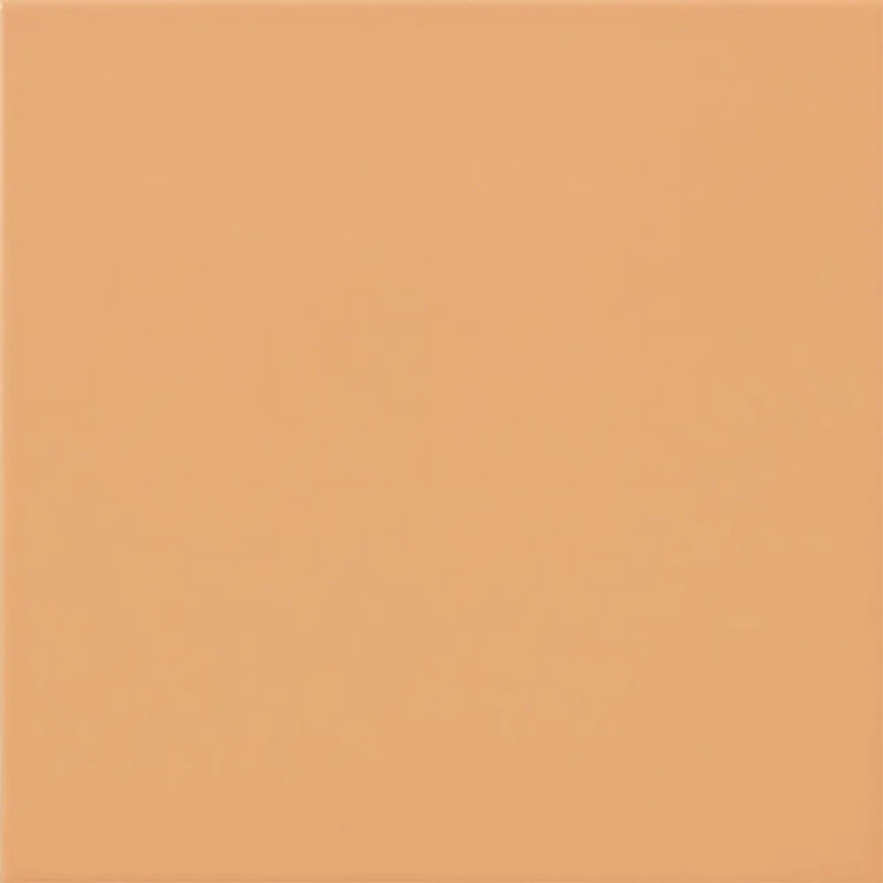 CARPIO CARAMELO MAT 20X20 GAT.1 (P.83935)