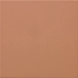 CARPIO COTTO VALENCIA MAT...