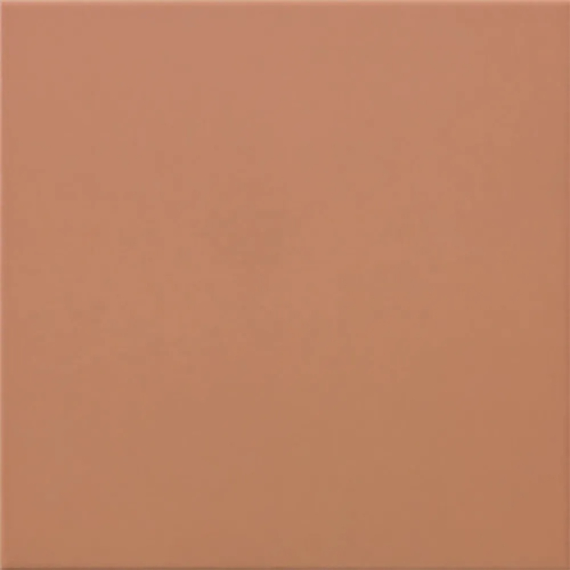 CARPIO COTTO VALENCIA MAT 20X20 GAT.1 (P.83937)