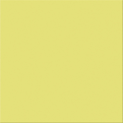 CROMA CLOVER MAT 20X20...