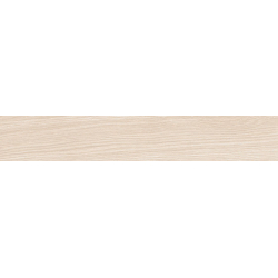 DUCALE BORGO MAT 10X60 GAT.1 (P.84315)