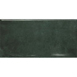 EARTH AMAZON POŁYSK 7,5X15...