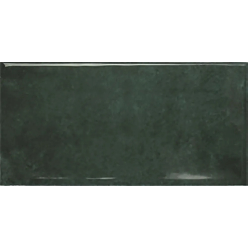 EARTH AMAZON POŁYSK 7,5X15 GAT.1 (P.84251)