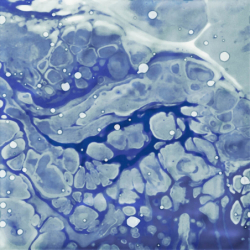 GEM ZIRCON POŁYSK 15X15 GAT.1 (P.84365)