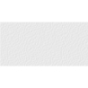 GLASS MOSAIC GLASS BLANCO BŁYSZCZĄCA 25X50 GAT.1 (P.83771)
