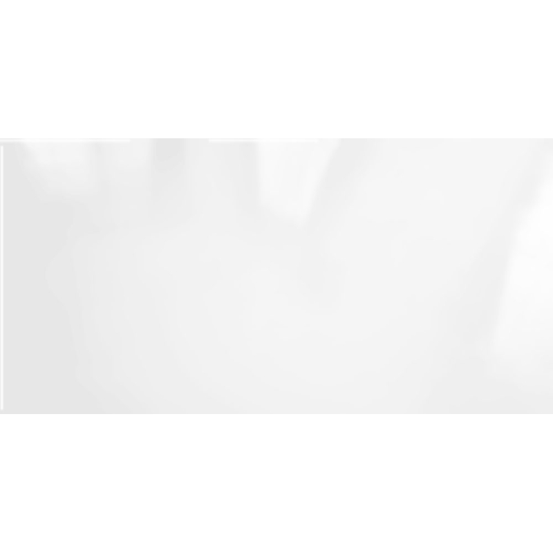 NIEVE POŁYSK 25X50 GAT.1 (P.82933)