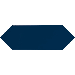 PICKET NAVY POŁYSK 10X30...