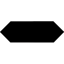 PICKET BLACK POŁYSK 10X30...