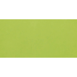 LISO VERDE POŁYSK 10X20...