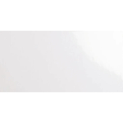 LISO BLANCO MAT 10X20 GAT.1...