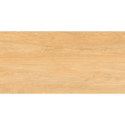 NEOSIMPLE BEIGE MAT 60X120...