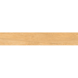 NEOSIMPLE BEIGE MAT 20X120...