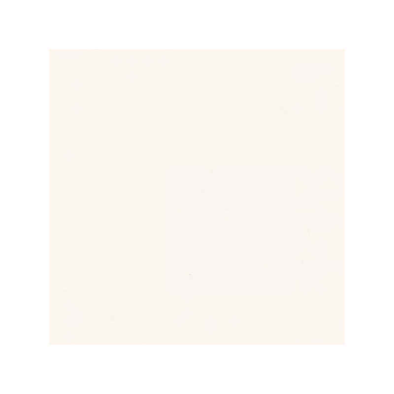 GAMMA BIANCO SCIANA MAT 9,8X9,8 GAT.1 (P.46387)
