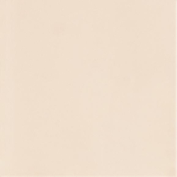 NEVE CREATIVE BEIGE SCIANA...