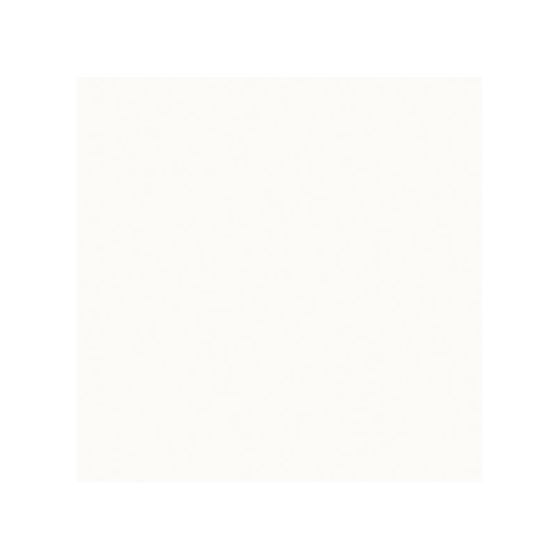 NEVE CREATIVE BIANCO SCIANA POLYSK 9,8X9,8 GAT.1 (P.46399)