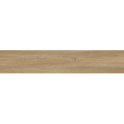 ANETO DORADO 23X123,5 GAT.1...