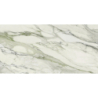 ARABESCATO GREEN POLER 60X120 REKT. GAT.1 (P.85883)