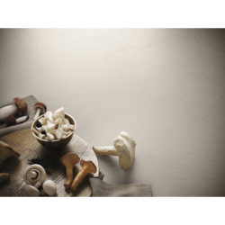 ARGILLAE NEVE MAT 120X120 REKT. GAT.1 (P.85871)