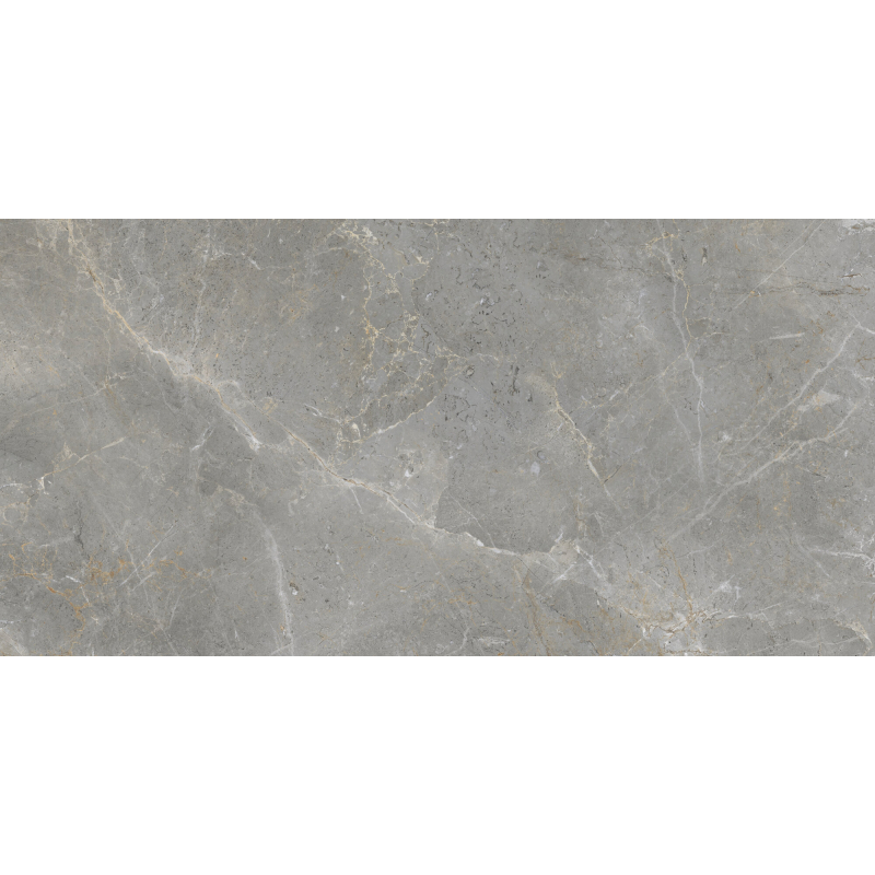 AUGUSTUS GREY NATURAL MAT 60X120 REKT. GAT.1 (P.86387)
