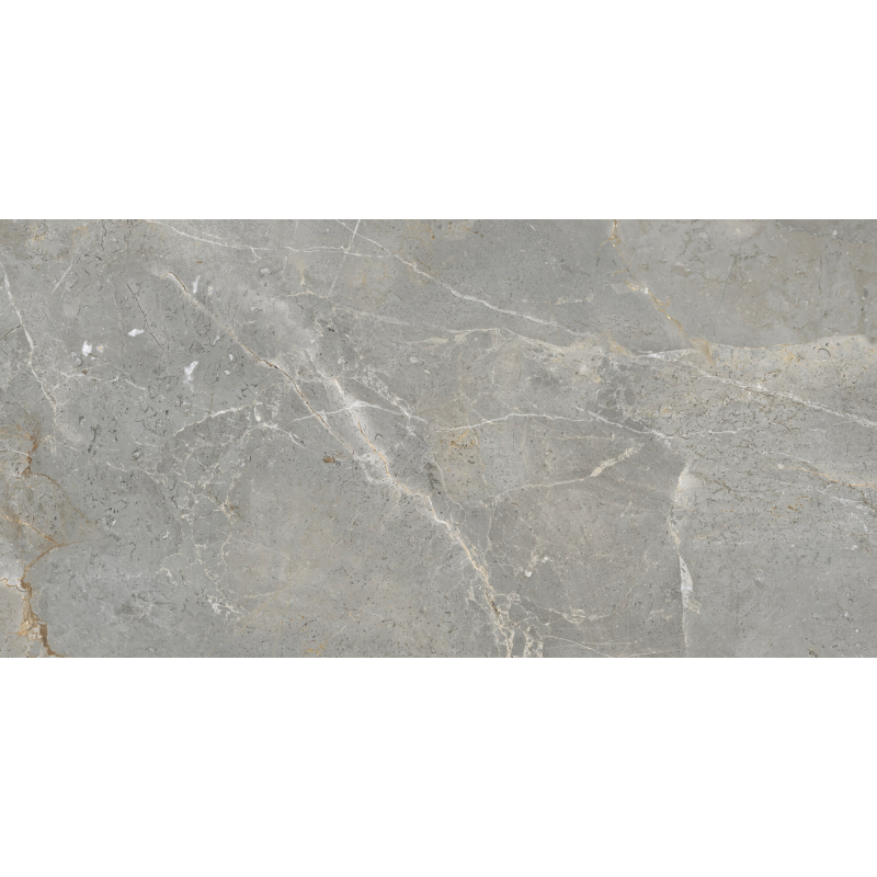 AUGUSTUS GREY POLER 60X120 REKT. GAT.1 (P.86383)